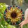 duiyfppz/products/6a8e73ae62d92c8caac6bfe0/gallery/PU58X5u5YN