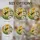 duiyfppz/products/6a8e73e90096430a450c6db6/gallery/Zcyinu_PLU