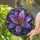 duiyfppz/products/6a8e743100964381a60c6ef3/gallery/8t7ywmBcnI