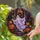 duiyfppz/products/6a8e744be33663f5884b9fc1/gallery/7g9UkutRzC