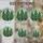 duiyfppz/products/6a8e74af009643eb9e0c70f3/gallery/xmW4jBFPrg