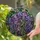 duiyfppz/products/6a8e759b00964356400c74e2/gallery/R7fW4entoj