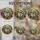 duiyfppz/products/6a8e75eee3366365d94ba74d/gallery/CwTayhAjt_