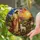 duiyfppz/products/6a8e76cfe33663feb24baaed/gallery/e2bjbT6bP7