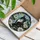 duiyfppz/products/6a8e76e162d92c0e6ec6cc91/gallery/trJyzy8iGJ