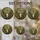 duiyfppz/products/6a8e770c00964370b20c7ac6/gallery/wwYqrbGcmK