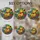 duiyfppz/products/6a8e7733e336637e6f4bac86/gallery/6hNgowXKpD
