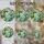 duiyfppz/products/6a8e7775e3366385704badc8/gallery/aQ7WelZo9D