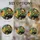 duiyfppz/products/6a8e77b562d92cef4bc6d009/gallery/2SGEtnfETB