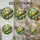 duiyfppz/products/6a8e781862d92c733ec6d0f3/gallery/PiakXKzqtC