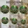 duiyfppz/products/6a8e78b4e3366352834bb304/gallery/T51rBAupzq