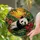 duiyfppz/products/6a8e793de33663c5b54bb543/gallery/xGguLExjfJ