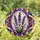 duiyfppz/products/6a8e797062d92ccf14c6de05/gallery/-uyAl-5h7Q
