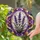 duiyfppz/products/6a8e797062d92ccf14c6de05/gallery/AtNIA3jUQy