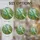 duiyfppz/products/6a8e799d21aaadf734a628c4/gallery/71XisH2gEp