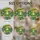 duiyfppz/products/6a8e79c962d92c0107c6deeb/gallery/AGFc5K2D4F