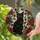 duiyfppz/products/6a8e79e262d92c1714c6e5e1/gallery/fsUuTq_PAG