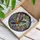 duiyfppz/products/6a8e7a6b0096431c230c98d3/gallery/jSYHcwlPq1