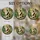 duiyfppz/products/6a8e7af821aaada942a65893/gallery/gy2Q3fDaQt