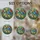 duiyfppz/products/6a8e7bd8e3366347594c124c/gallery/dokpX0vKtx