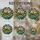 duiyfppz/products/6a8e7cbde3366340d94c14da/gallery/H9H2ZCpU1b