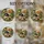 duiyfppz/products/6a8e7ce900964308a70cfaa8/gallery/FYr4Lg4vqB