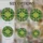 duiyfppz/products/6a8e7d4f21aaad4cf7a68aac/gallery/VBh79dcD1r