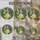 duiyfppz/products/6a8e7d8ae33663870e4c2695/gallery/tYaQQjKoU7