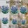 duiyfppz/products/6a8e7dd462d92c5c59c762d7/gallery/iLneiTkyxY