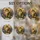 duiyfppz/products/6a8e7e5762d92cb544c77ed0/gallery/hWzNyWqRQy