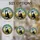 duiyfppz/products/6a8e7eaa009643136d0d1645/gallery/VwWWsDUz8Y