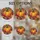 duiyfppz/products/6a8e7ec100964360fa0d16ba/gallery/XjAYcA9vvK