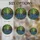 duiyfppz/products/6a8e7ed600964376510d1847/gallery/U47i8xKW5A