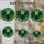 duiyfppz/products/6a8e80cd62d92c5cd1c7bbf5/gallery/NzDetG_WE0