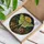 duiyfppz/products/6a8e817962d92cbdc0c7cffd/gallery/eRQNZ3_wM3