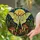 duiyfppz/products/6a8e817962d92cbdc0c7cffd/gallery/osKr6wsRWe