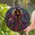 duiyfppz/products/6a8e824a00964325090d40e1/gallery/DkSWtdJm2D