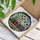 duiyfppz/products/6a8e8490e3366328774cbc7a/gallery/2D35URkH5H