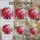 duiyfppz/products/6a8e84b3e3366354614cbcf6/gallery/9TJVcWZZhg
