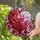 duiyfppz/products/6a8e84b3e3366354614cbcf6/gallery/zU76FdHaOe