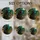 duiyfppz/products/6a8e856b009643026b0d9b13/gallery/eK8AC8uNlM