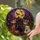 duiyfppz/products/6a8e868ce3366345494cef8b/gallery/cHKD-nAKiB
