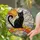 Black Cat Rainbow Bridge Memorial Gift For Cat Lovers And Serene Home Decor Keepsake Stained Glass Suncatcher - 2