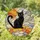 Black Cat Rainbow Bridge Memorial Gift For Cat Lovers And Serene Home Decor Keepsake Stained Glass Suncatcher - 1