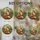 duiyfppz/products/6a8e89b662d92c3feec862d1/gallery/mXD0Z6o9sR