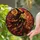 duiyfppz/products/6a8e8a70e3366328cc4d2ccf/gallery/zTRVwwE_Ir