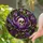 duiyfppz/products/6a8e8a9862d92cf431c878da/gallery/FuTFE53nLM