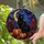 duiyfppz/products/6a8e8b1721aaad4a43a7f62d/gallery/Pu0FX1QCDF