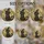duiyfppz/products/6a8e8c8c009643863b0e3473/gallery/1Ud14oiydq