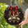 duiyfppz/products/6a8e8d3700964306ef0e4f9a/gallery/sED41BBqIo